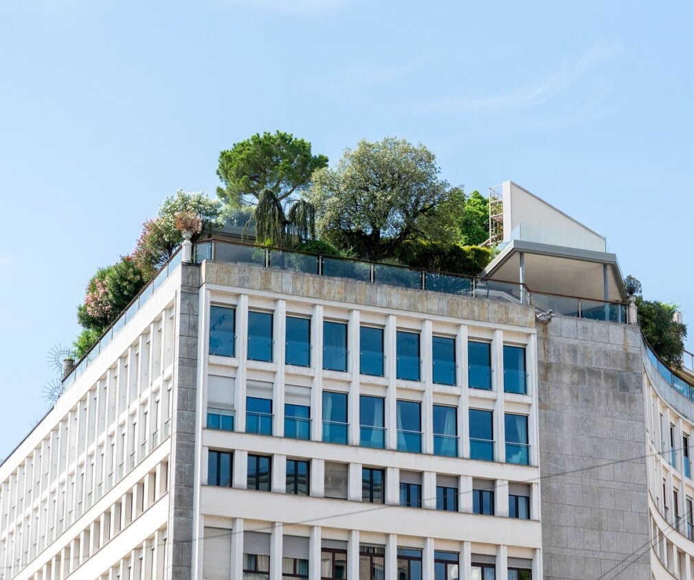 Noul Cod al Urbanismului aduce schimbări: acoperișuri verzi și parcări ecologice, obligatorii 