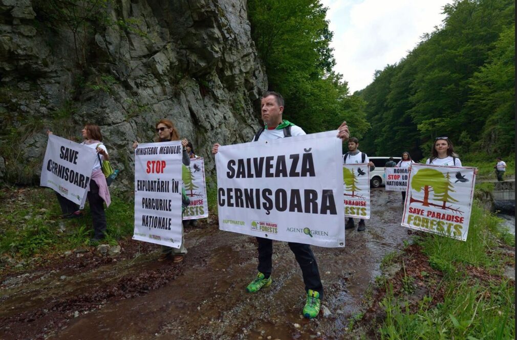 Procesul pentru apărarea Domogledului, reluat. Agent Green: Ministerul Mediului și Romsilva fac show de fațadă că ar fi în conflict