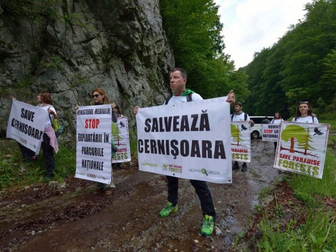 Procesul pentru apărarea Domogledului, reluat. Agent Green: Ministerul Mediului și Romsilva fac show de fațadă că ar fi în conflict