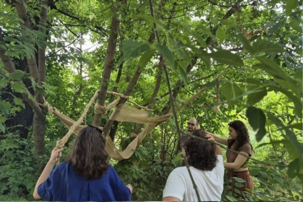 Transformare urbană: Maidanul Academiei devine grădină, iaz și zonă artistică