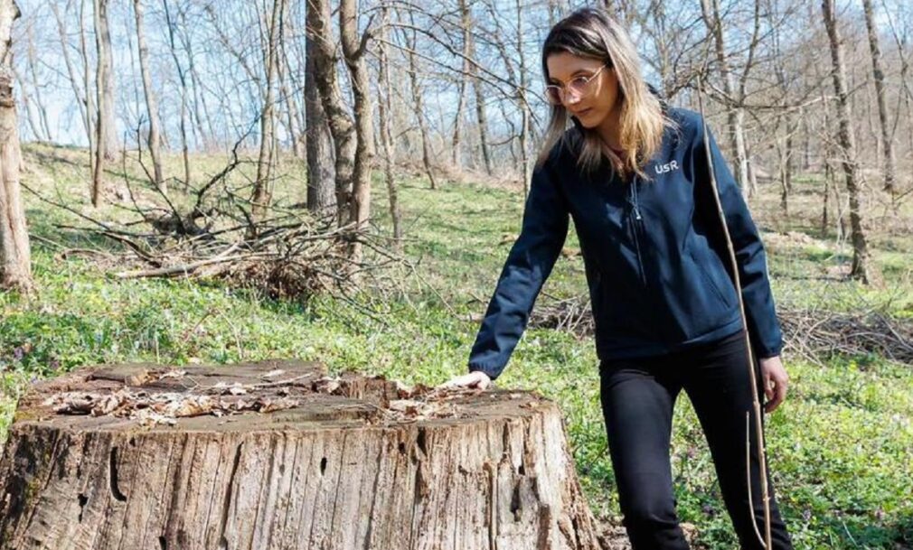 Pădurile României, monitorizate prin satelit: „În faţa mafiei lemnului, avem nevoie de instrumente de ultimă tehnologie”