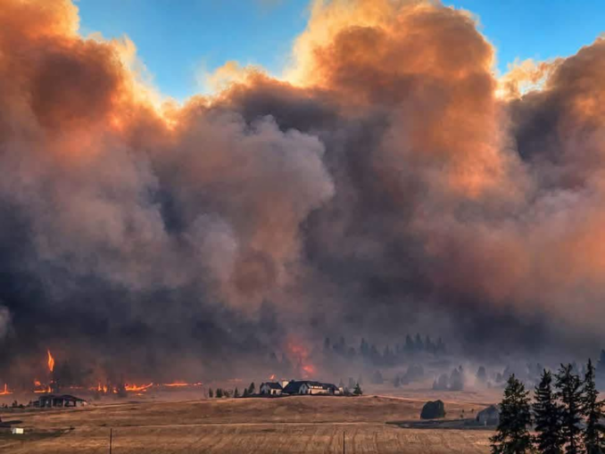 VIDEO Mii de hectare de pădure devastate de incendii în statul Washington. Garda Națională a fost mobilizată