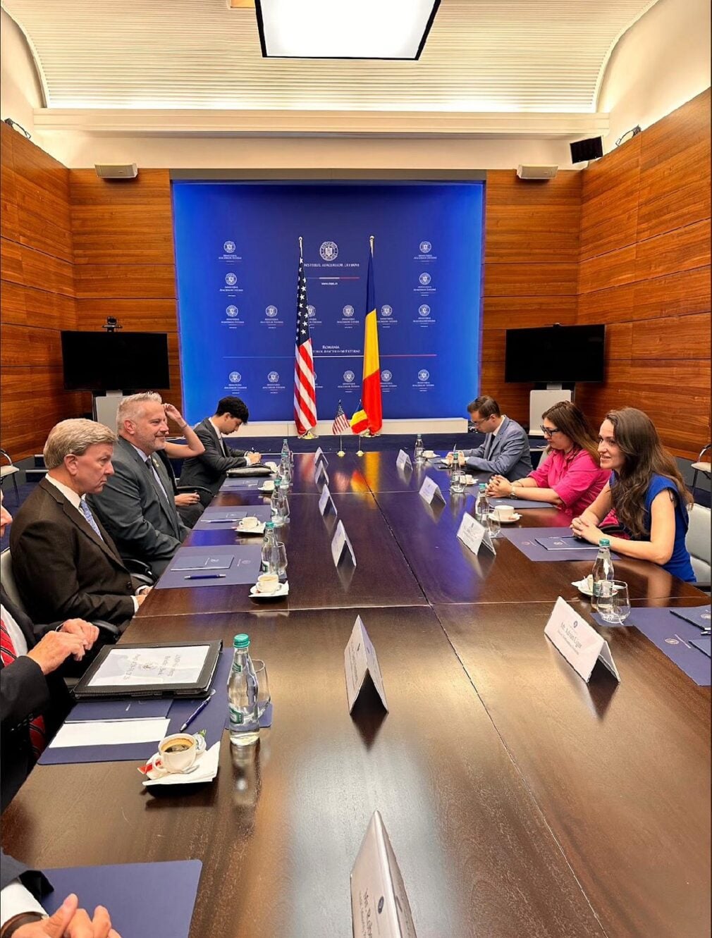 Întărire NATO: Oana Țoiu, întâlnire cu Mike Rogers, preşedintele Comisiei pentru Forţele Armate din Congresul SUA