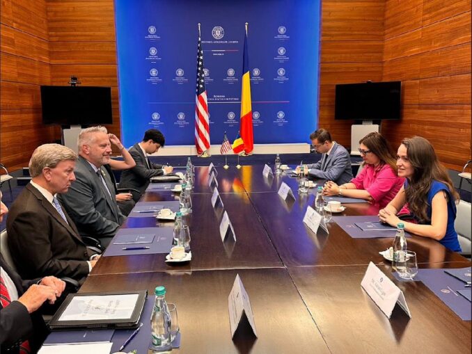 Întărire NATO: Oana Țoiu, întâlnire cu Mike Rogers, preşedintele Comisiei pentru Forţele Armate din Congresul SUA