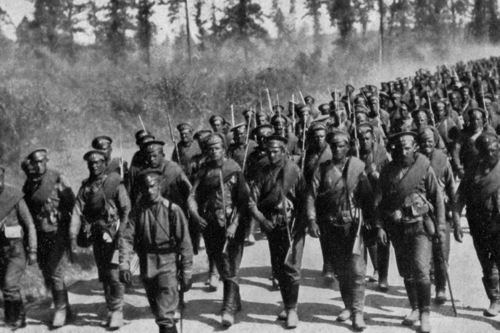 Invazia de lăcuste care a mobilizat trei regimente ale Armatei Române în 1899