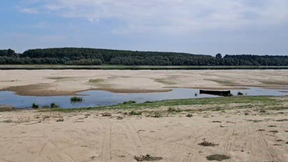 Rasova, imagini apocaliptice după ce Dunărea a scăzut dramatic VIDEO