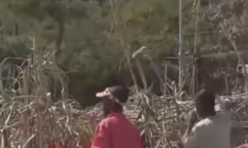 Pericol sanitar în Ceuta: Tabără improvizată cu zeci de migranți pe plaja Trampolín