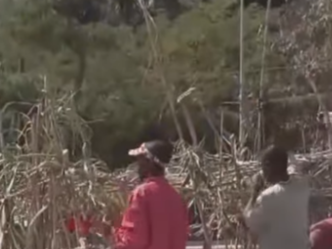 Pericol sanitar în Ceuta: Tabără improvizată cu zeci de migranți pe plaja Trampolín