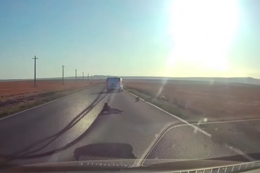 VIDEO Copil căzut dintr-o mașină în mers, în Tulcea. A ajuns în fața unui TIR
