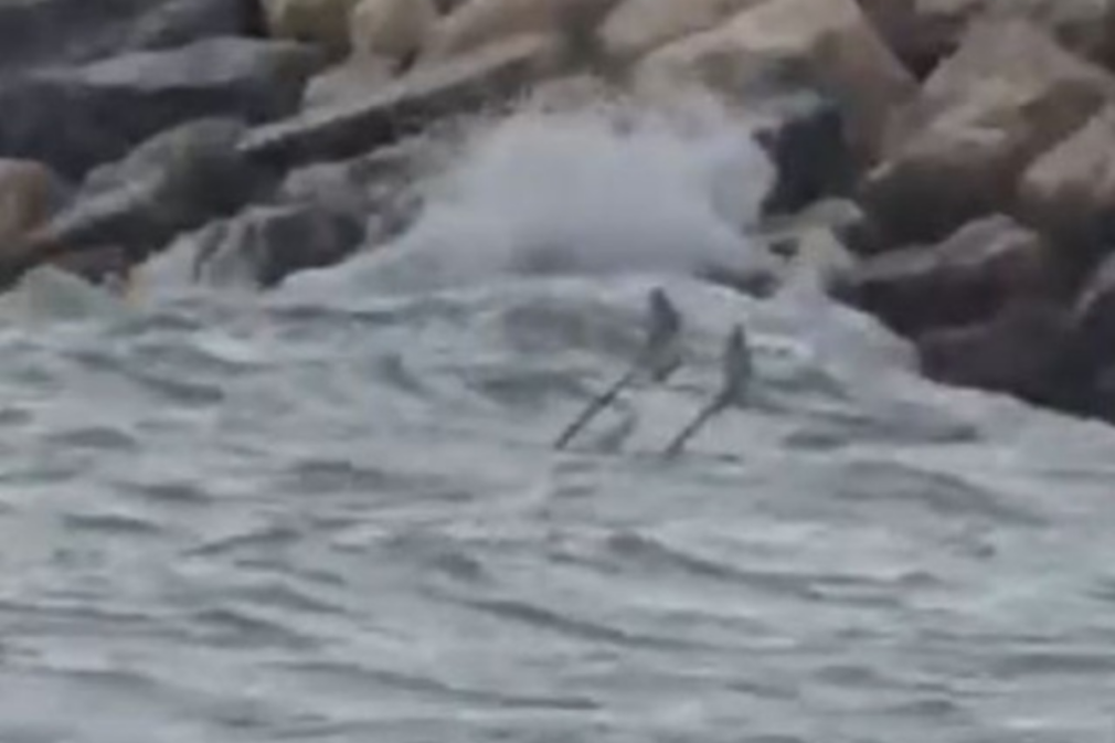 UPDATE Alertă la Costinești. Fragment de dronă, găsit lângă plajă – VIDEO