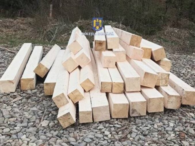 Peste 62 de metri cubi de cherestea confiscați în Dolj
