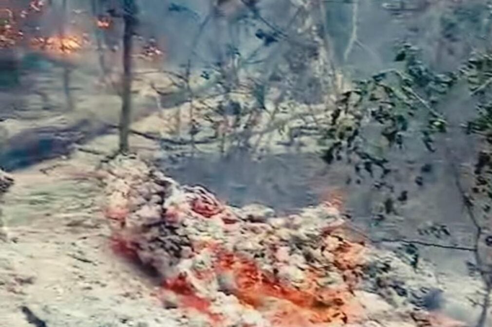 UPDATE Incendiu lângă Plauru. Romsilva spune că focul ar fi pornit după explozia unei drone – VIDEO