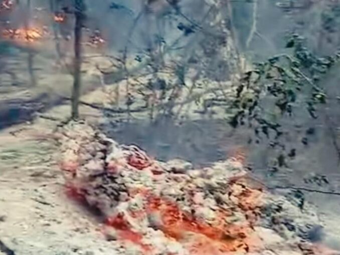 UPDATE Incendiu lângă Plauru. Romsilva spune că focul ar fi pornit după explozia unei drone – VIDEO