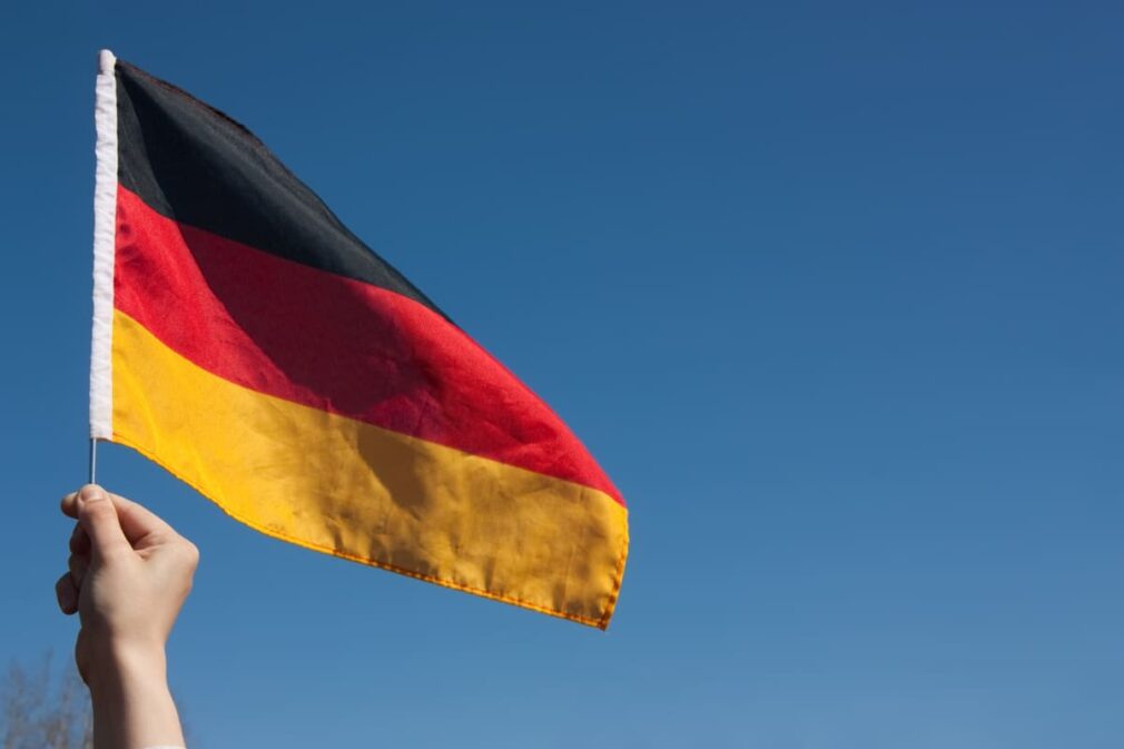 Germania ia în calcul interzicerea partidului de extremă dreapta AfD, aflat pe primul loc în sondaje