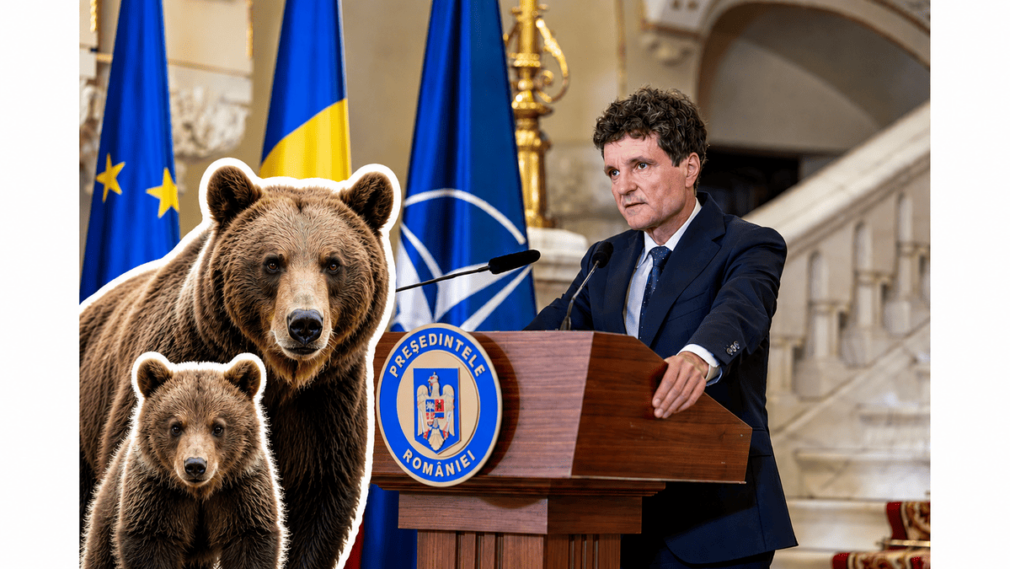 Nicușor Dan refuză să promulge legea privind ursul brun. Vrea protecție mai mare pentru femelele cu pui