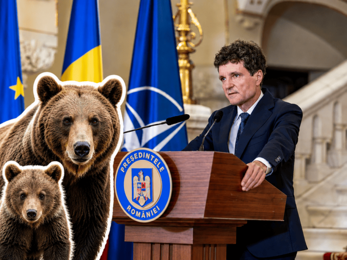 Nicușor Dan refuză să promulge legea privind ursul brun. Vrea protecție mai mare pentru femelele cu pui