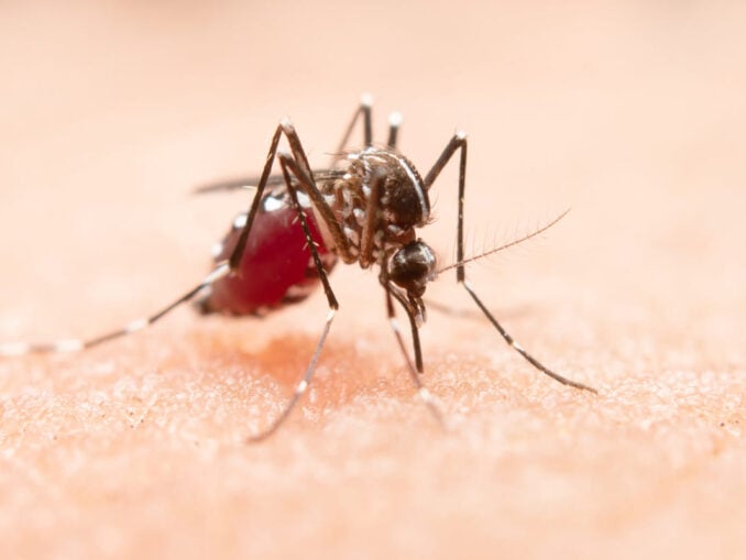 58 de cazuri de infectare cu virusul West Nile în România, raportează INSP. Cele mai multe cazuri, în București și Ilfov