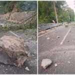 sursa DRDP Timișoara