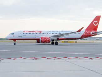 Compania AnimaWings își cere insolvența în urma anulării mai multor curse