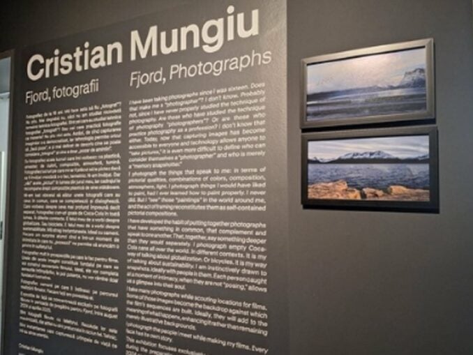 Nou sezon la Art Safari. Expoziţii despre Brâncuşi și Pop Art. Fotografii realizate de Cristi Mungiu pentru „Fjord”. Printre curatori, soțul Andreei Esca
