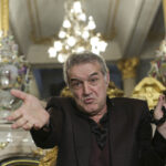 Gigi Becali guvern afaceri