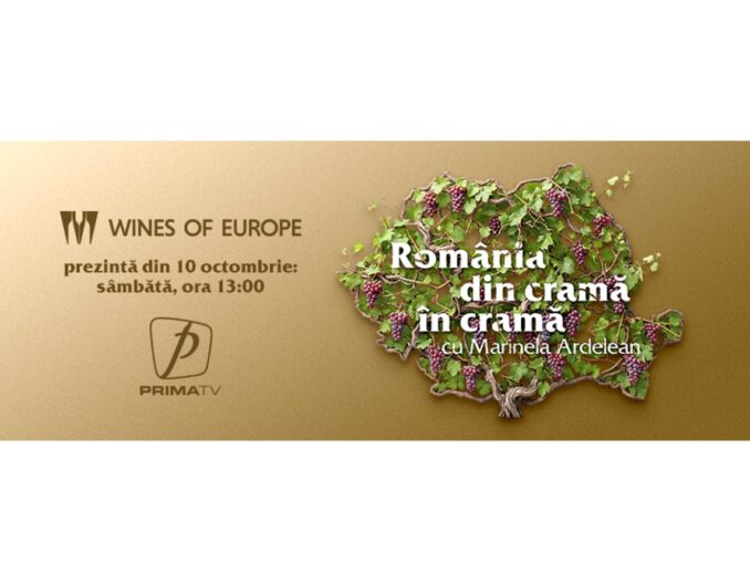 Vinul premium: ambalajul vorbește primul