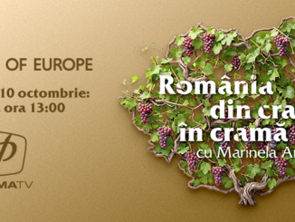 Vinul premium: ambalajul vorbește primul