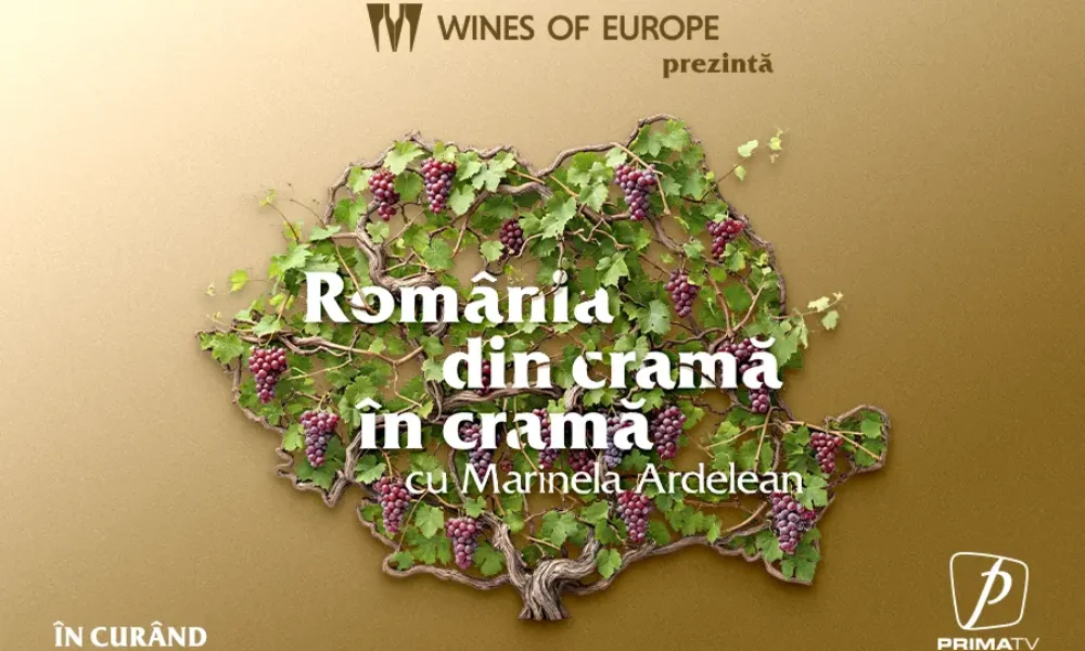 Enoturism în România: o șansă în plus pentru o industrie proaspăt înflorită