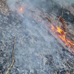 incendiu Domogled, Parcul Național Domogled-Valea Cernei, Băile Herculane, incendii de vegetație, Domogled