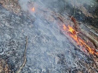 VIDEO Pompierii continuă lupta cu focul în Domogled. Un nou incendiu, în zona Băile Olănești