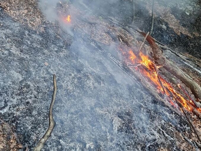 VIDEO Pompierii continuă lupta cu focul în Domogled. Un nou incendiu, în zona Băile Olănești