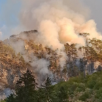Parcul Național Domogled, Domogled-Valea Cernei, incendiu Domogled