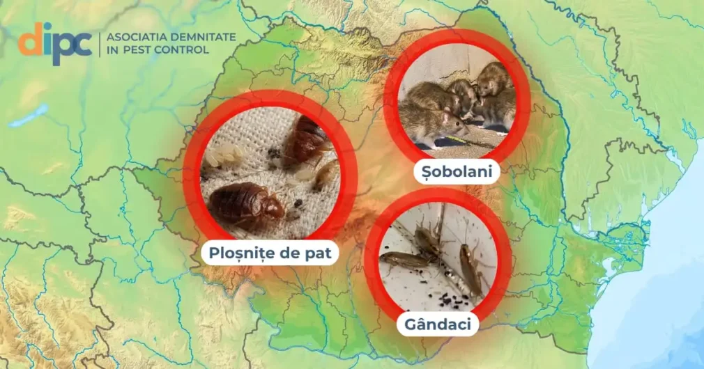 Românii pot contribui la monitorizarea digitală a dăunătorilor: Harta DIPC, noua inițiativă a Asociației Demnitate în Pest Control