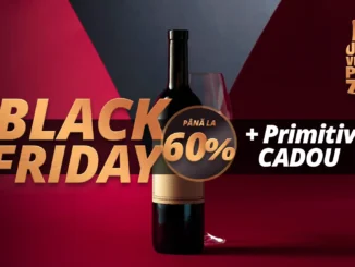 Vinuri garantate de experți, cu până la 60% reducere de Black Friday, pe Unvinpezi.ro 