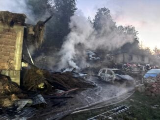 Un adăpost de animale din Neamț, incendiat. Focul ar fi fost pus intenționat