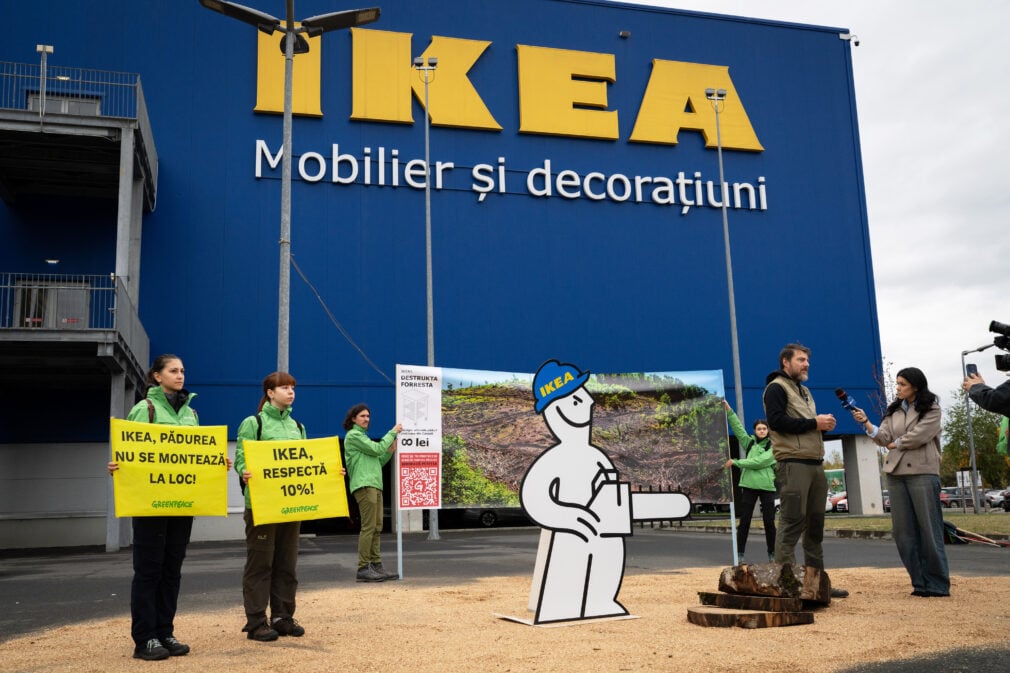VIDEO Greenpeace acuză IKEA că ar fi folosit lemn dintr-o pădure seculară tăiată în Carpați. Protest în fața unui magazin din București
