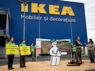 VIDEO Greenpeace acuză IKEA că ar fi folosit lemn dintr-o pădure seculară tăiată în Carpați. Protest în fața unui magazin din București
