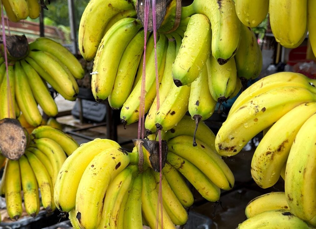 Bananele s-ar putea scumpi în 2027. De ce cresc costurile, potrivit directorului Chiquita