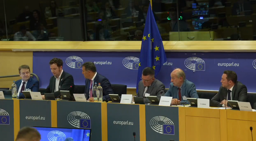 VIDEO Acțiuni AUR la Bruxelles. Miting în fața Parlamentului European și conferință internațională privind alegerile anticipate