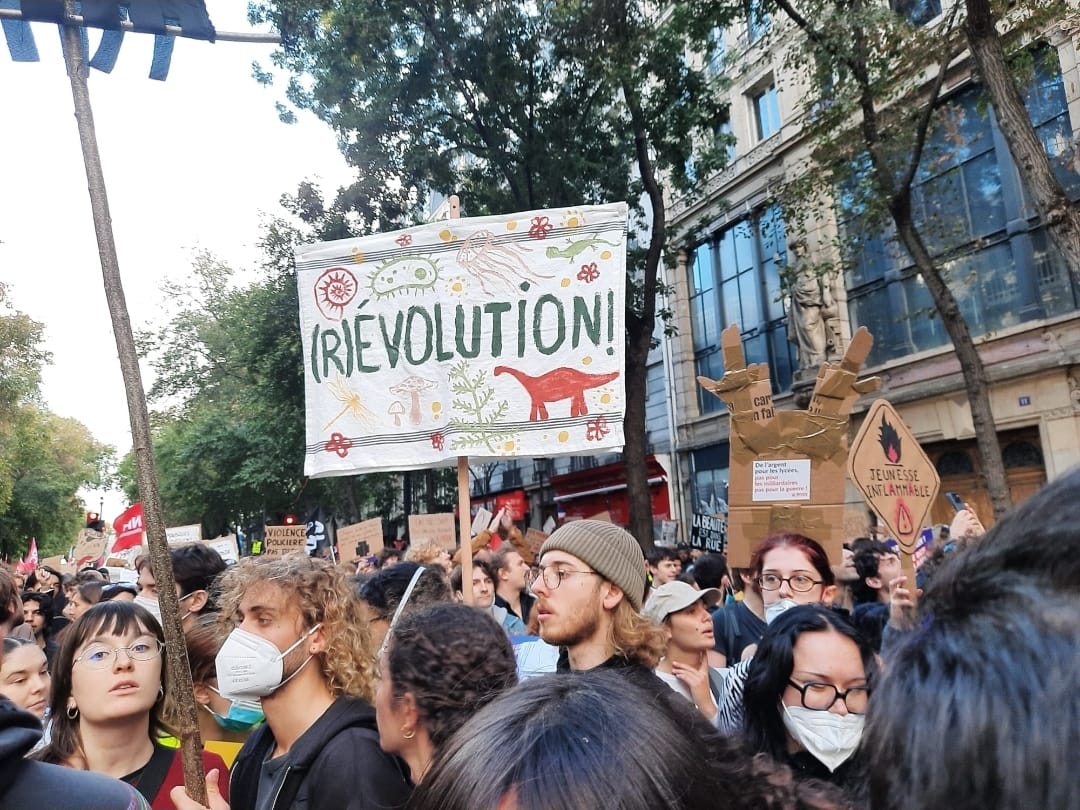 Revoluția elevilor sau a golanilor? Cum văd românii din Franța protestele care au devastat Hexagonul