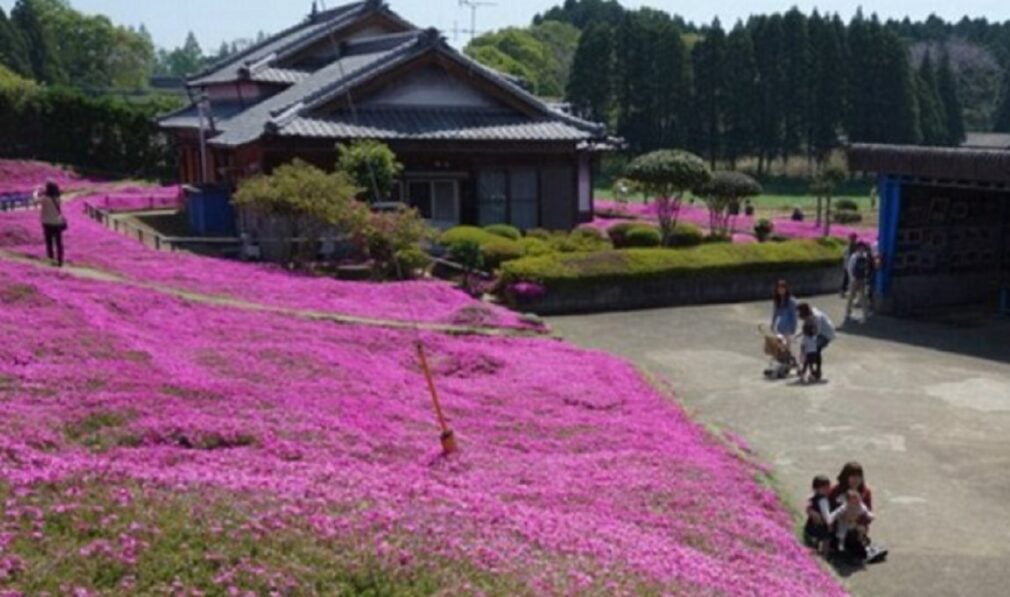 Cea mai romantică grădină din lume, creată în Japonia pentru o femeie care nu o poate vedea