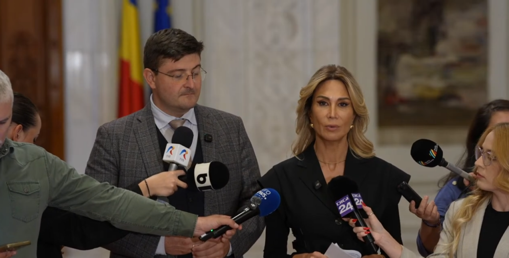 PNL și USR au sesizat CCR privind numirea conducerii TVR și a SRR. „Birourile permanente au preluat atribuția plenului”