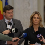 PNL, USR, TVR, SRR, AUR, PSD, numire interimari, plângere prealabilă, sesizarea CCR, PNL și USR au sesizat CCR