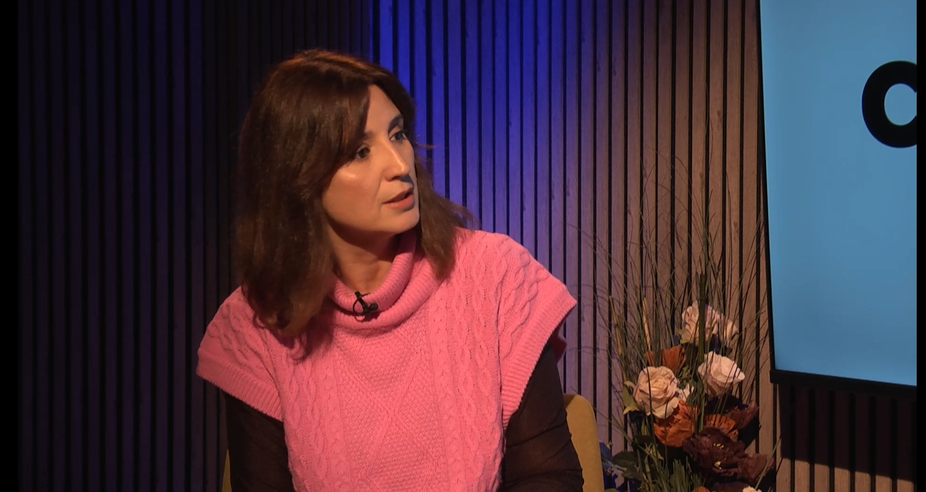 Sanda Nicola: Nu aș fi putut să intru în PNL-ul care stătea lângă PSD / Există în PNL oameni cărora le-a fost bine în parteneriatul cu PSD / Nicușor Dan n-a ajutat la scurtarea crizei