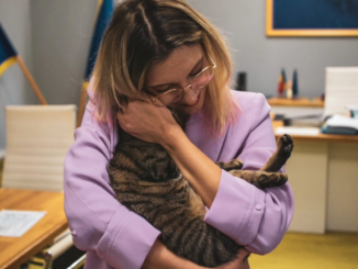 Leia, pisica adoptată de Ministerul Mediului, și-a schimbat casa. Anunțul Dianei Buzoianu