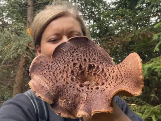 „Dulceața de trandafir și cea de coajă de portocale mă transporta în casa bunicii, după cum mirosul de carne pusă la fiert pentru piftie mă duce în bucătaria mamei” – Adriana Sohodoleanu, cercetătoare a culturii gastronomice