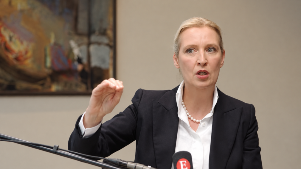 VIDEO Alice Weidel critică NATO și face referire la România. Sistemul de la Deveselu, invocat în discuția despre pacea din Ucraina