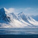 Antarctica, pinguini, locuri de muncă, salariu, job în Antarctica