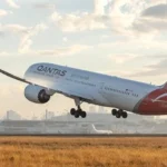 avion, qantas, ploșnițe
