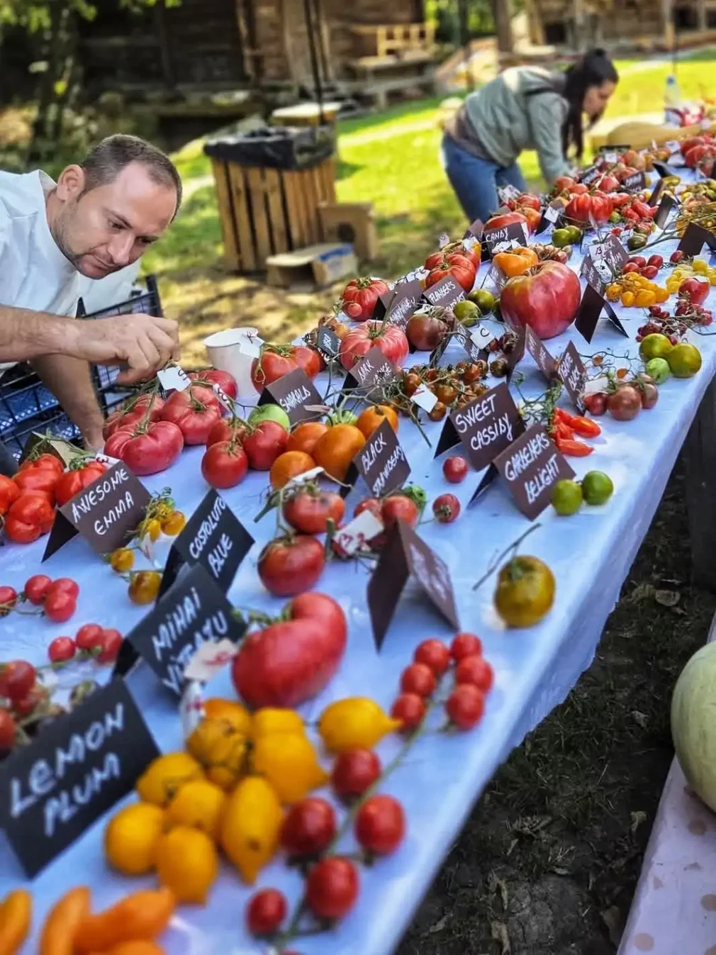 Colecționarul de Arome. Povestea românului care a adunat aproape 3.000 de soiuri de tomate și transformă semințele în povești